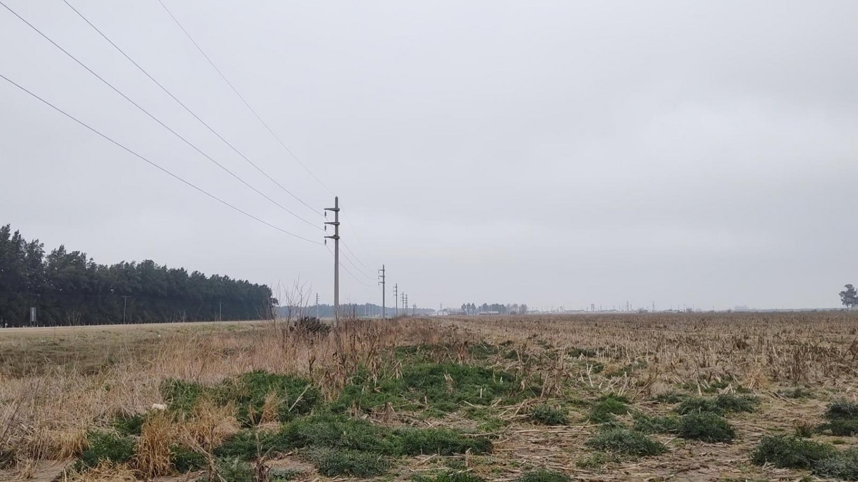 Venta Campo 32 Has en Ruta AO12 y Ruta 14 Piñero