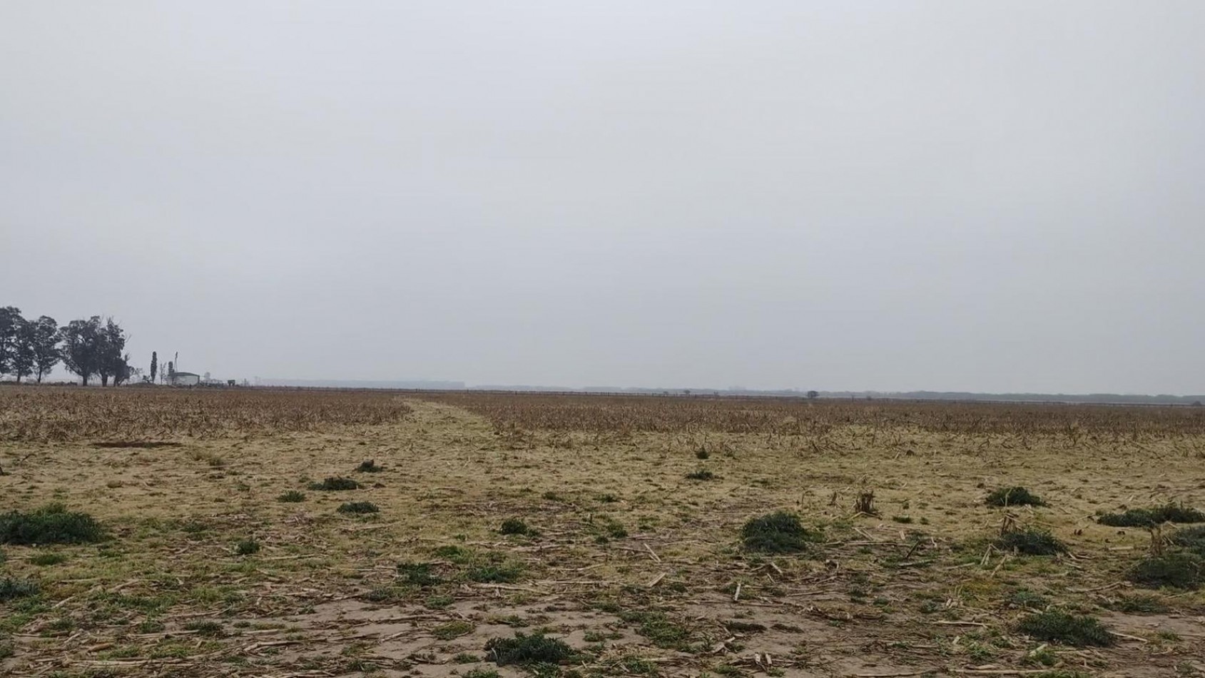 Venta Campo 32 Has en Ruta AO12 y Ruta 14 Piñero