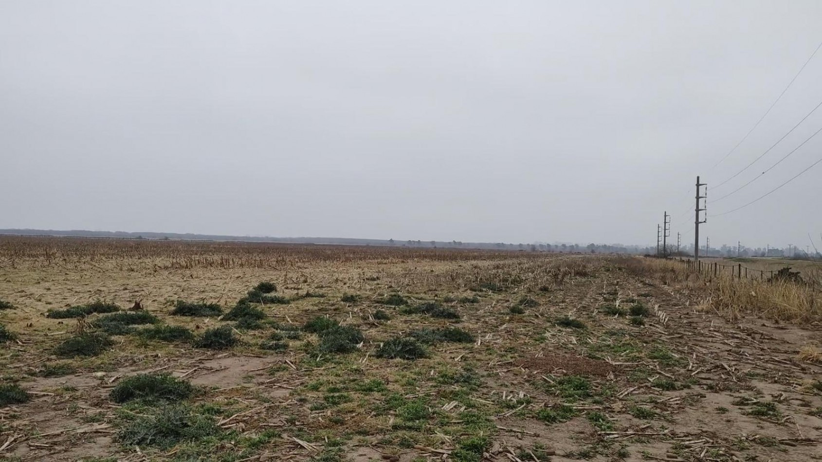 Venta Campo 32 Has en Ruta AO12 y Ruta 14 Piñero