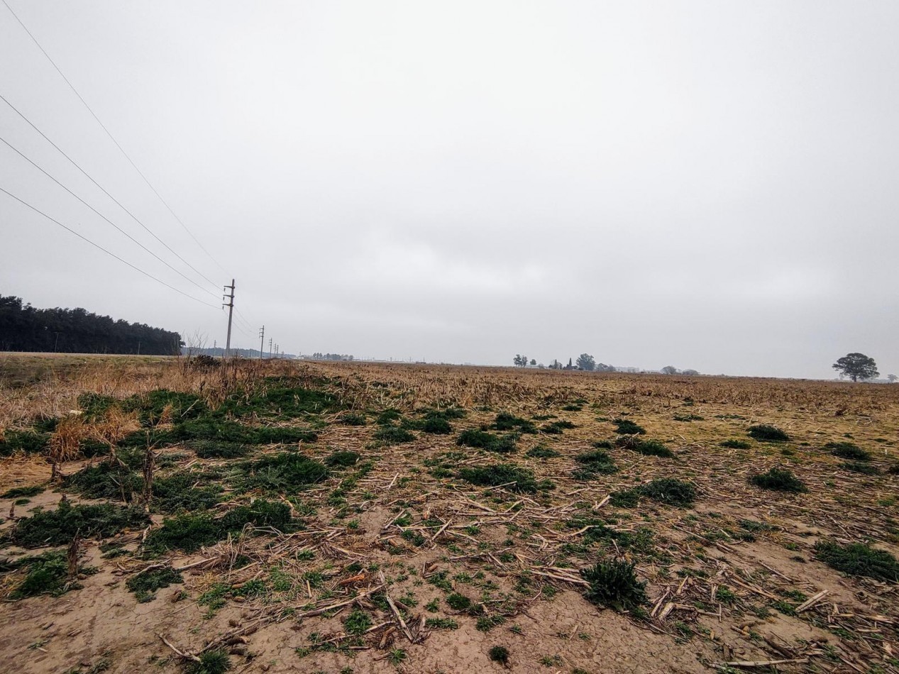 Venta Campo 32 Has en Ruta AO12 y Ruta 14 Piñero