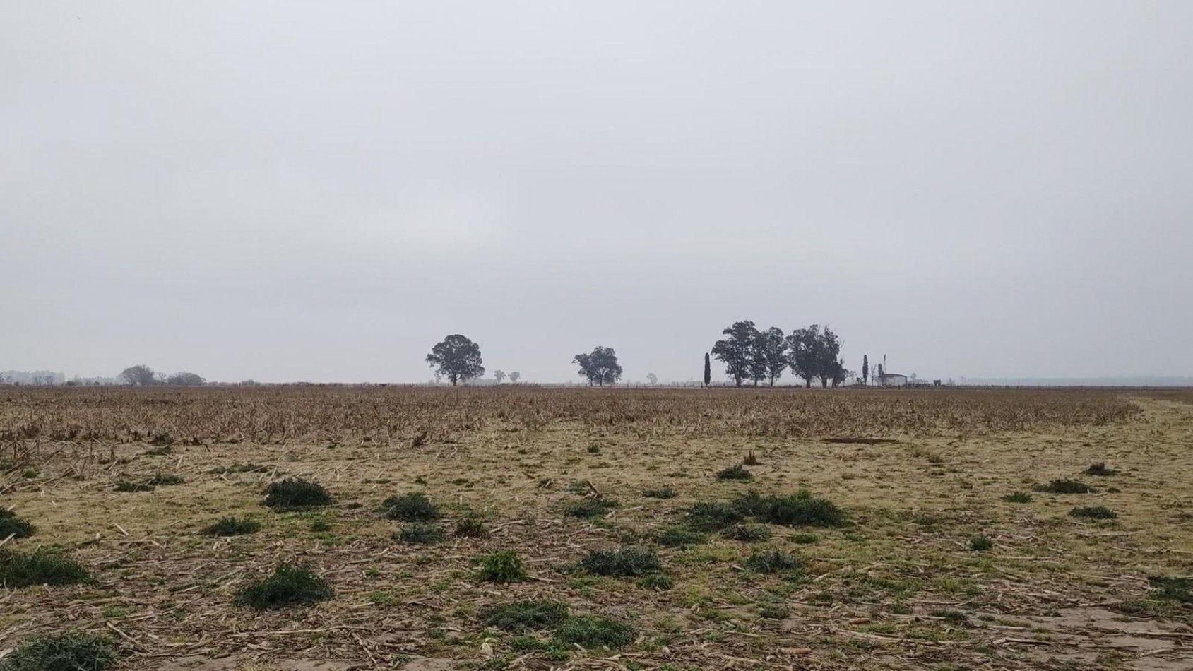 Venta Campo 32 Has en Ruta AO12 y Ruta 14 Piñero