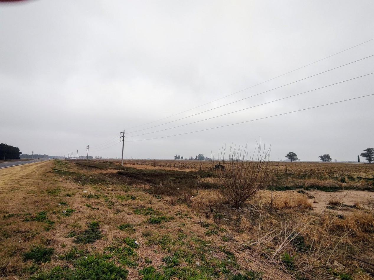 Venta Campo 32 Has en Ruta AO12 y Ruta 14 Piñero