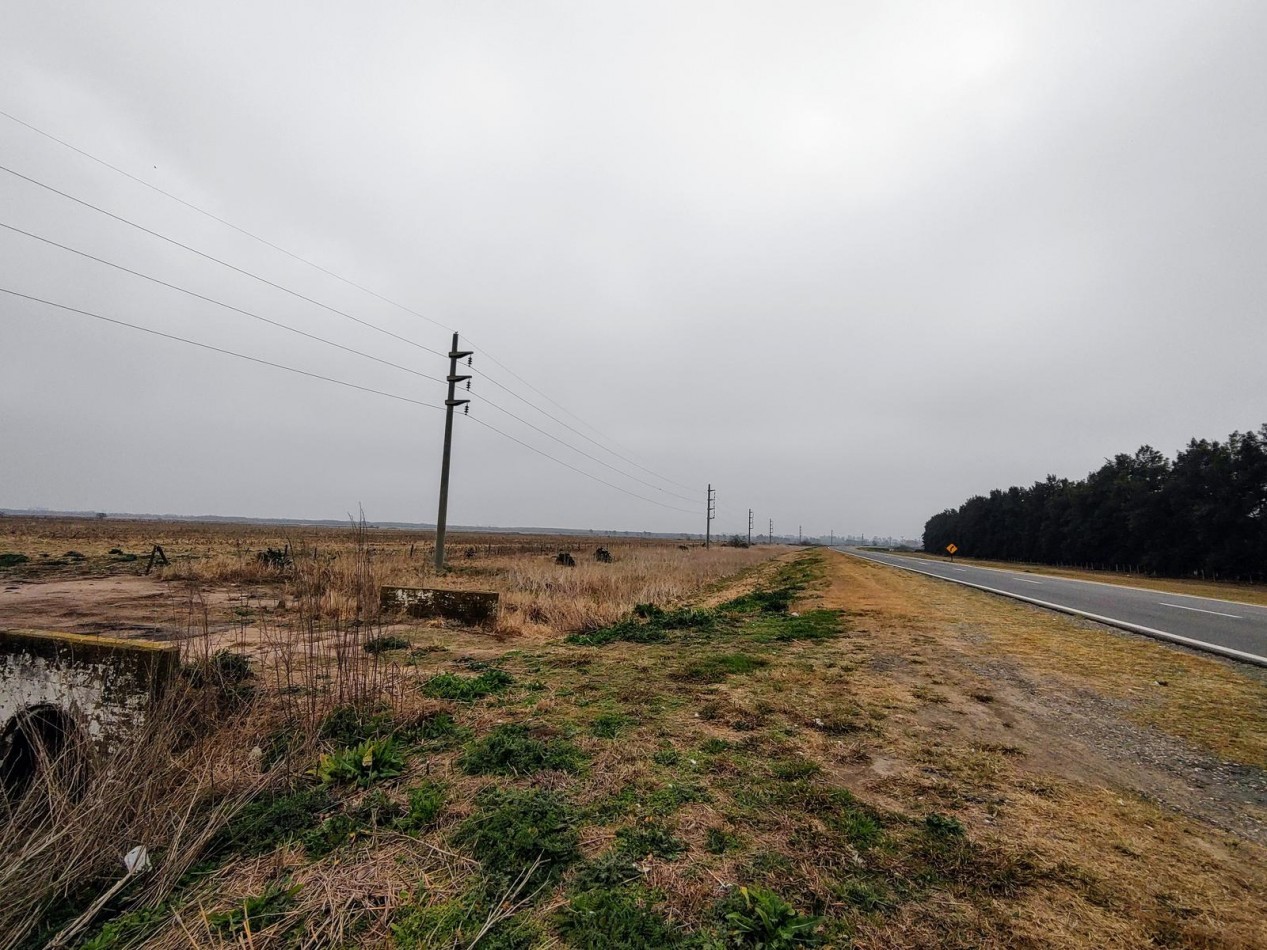 Venta Campo 32 Has en Ruta AO12 y Ruta 14 Piñero