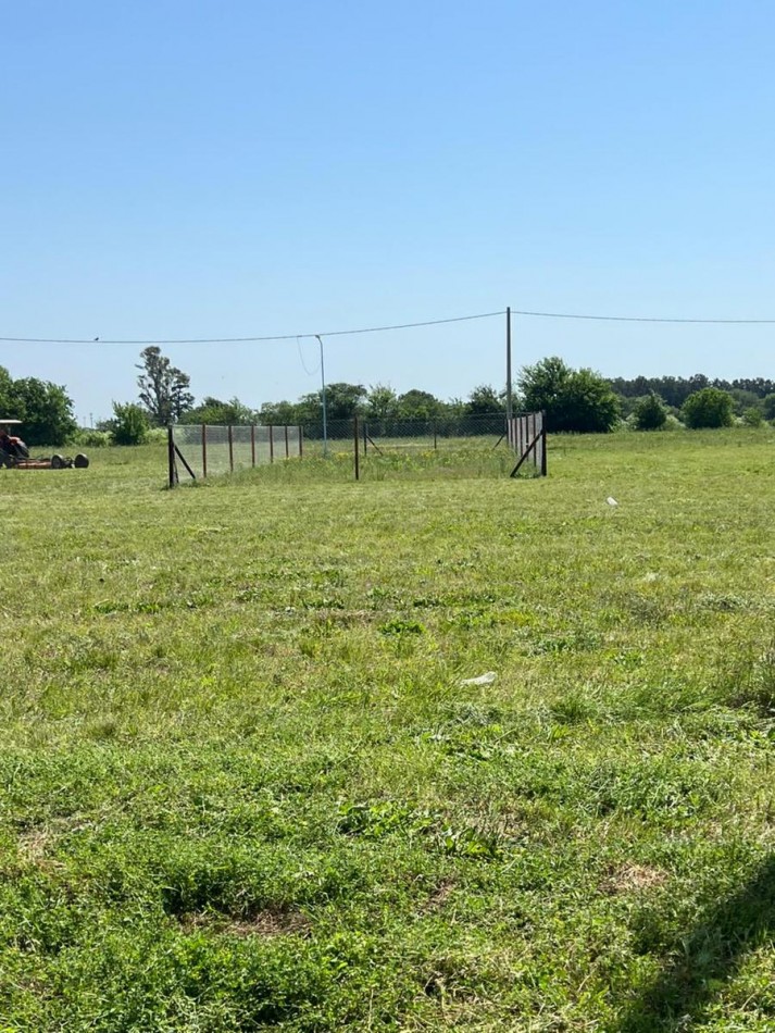 Venta Terreno de 300 m2 Montecatini Piñero