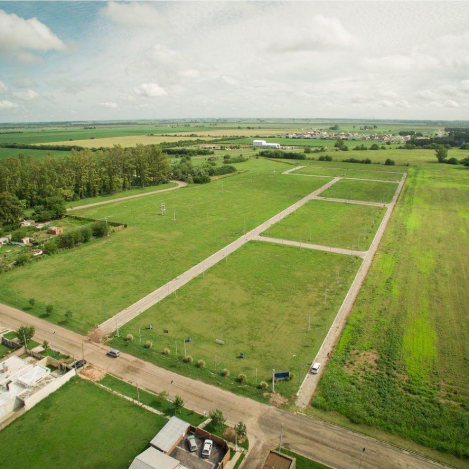 Venta Terreno de 300 m2 Montecatini Piñero