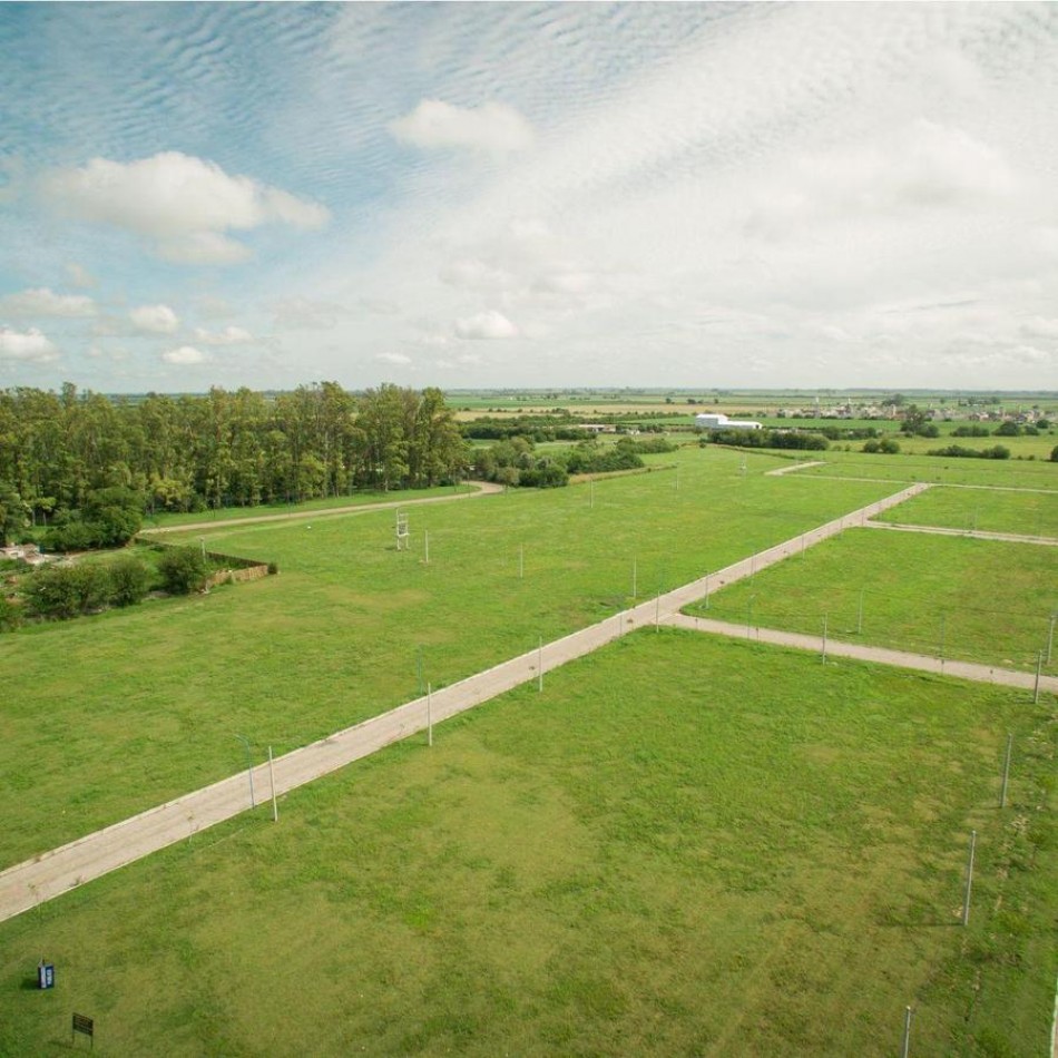 Venta Terreno de 300 m2 Montecatini Piñero