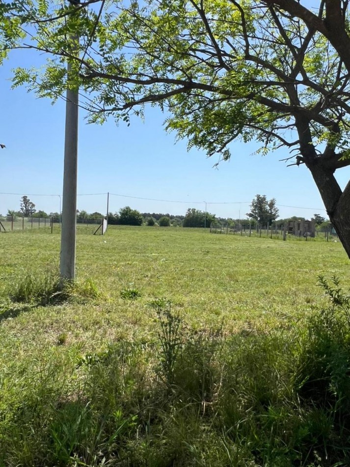 Venta Terreno de 300 m2 Montecatini Piñero