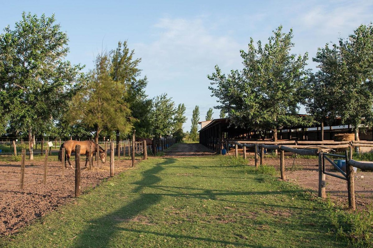 Venta Terreno 1000 m2 Estancia La Rinconada