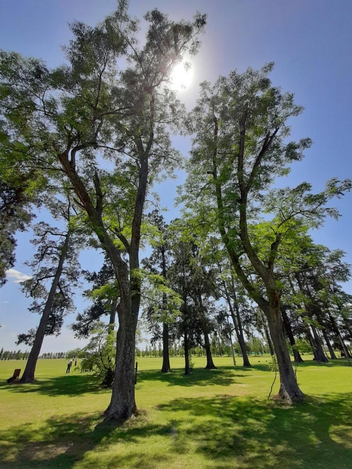 Venta Terreno 1000 m2 Estancia La Rinconada