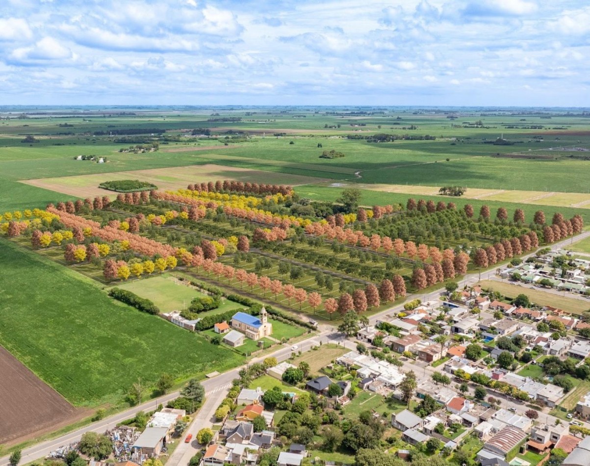 Venta de Terrenos Barrio Abierto Gaia General Lagos