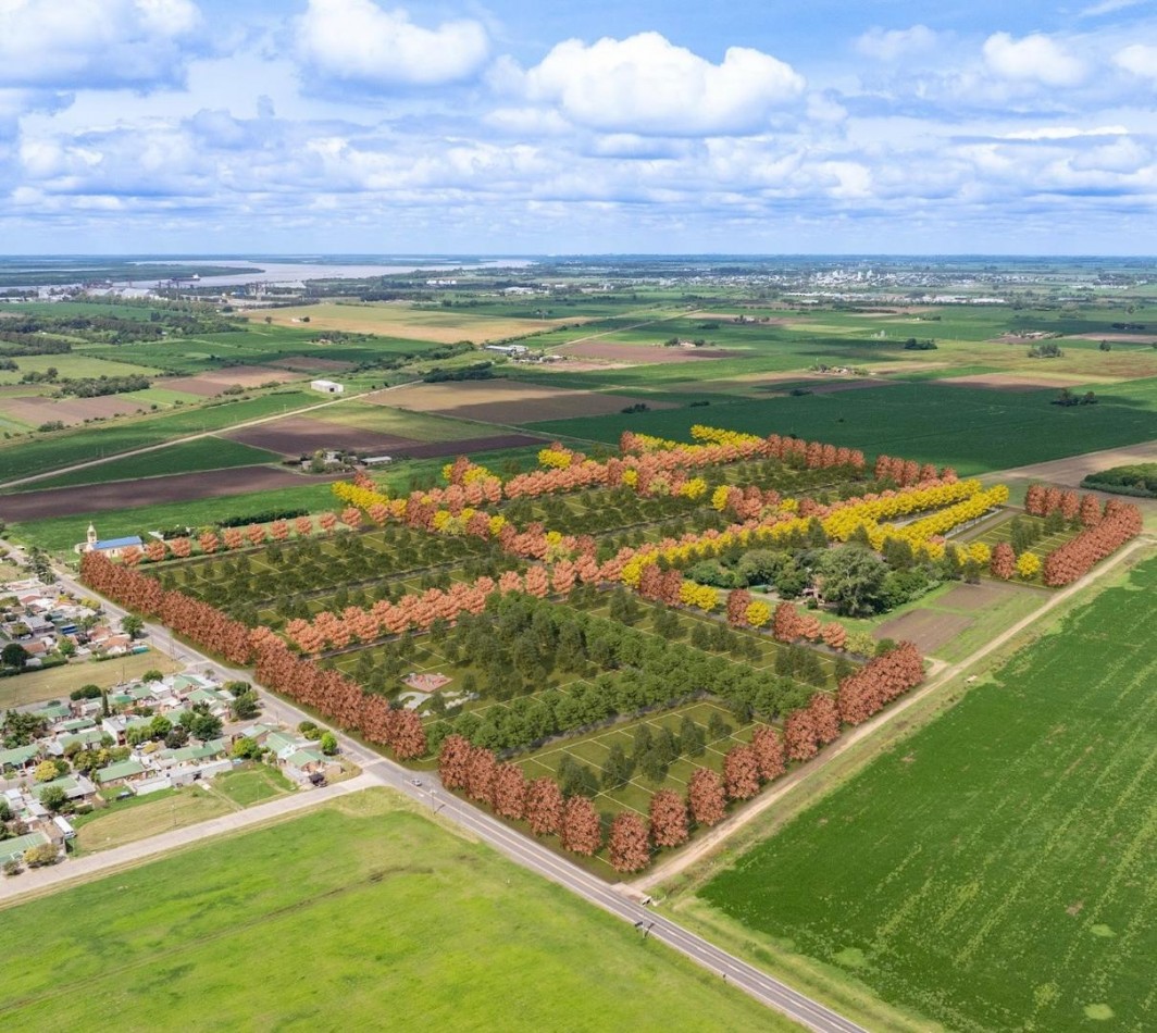 Venta de Terrenos Barrio Abierto Gaia General Lagos